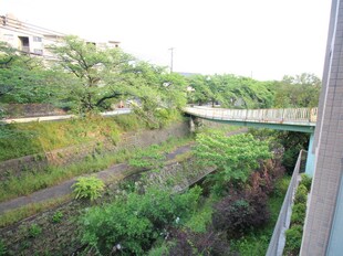 桃山台アルビラの物件内観写真